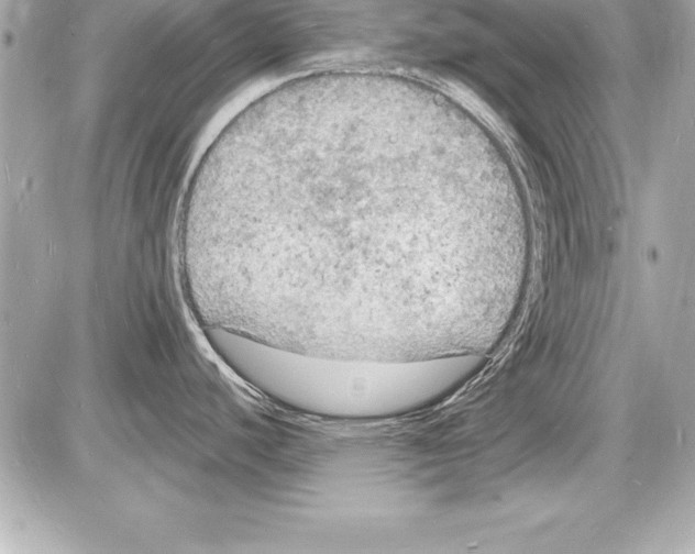 X0000085281440200704092155