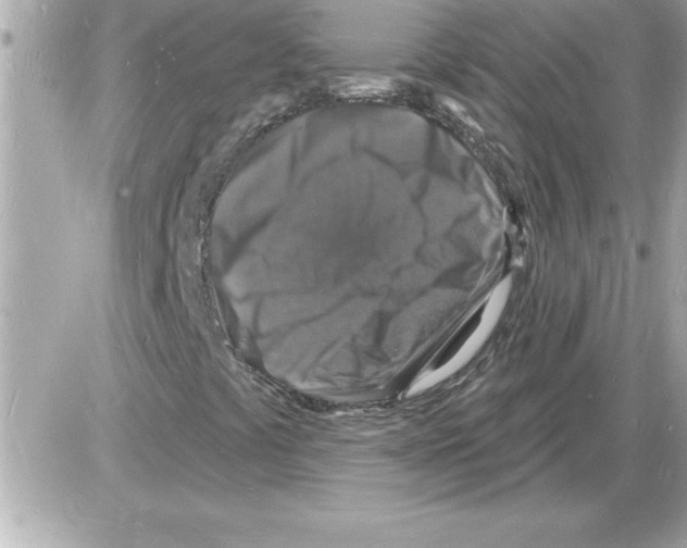 X0000085281441200704092154