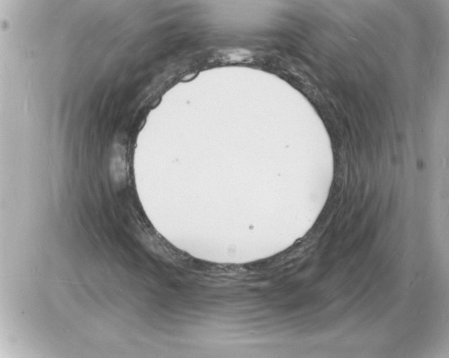 X0000085281442200704092154