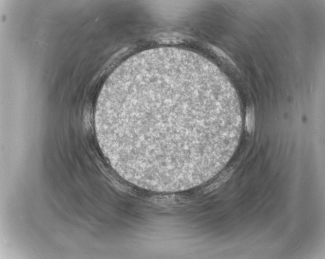 X0000085281444200704092154