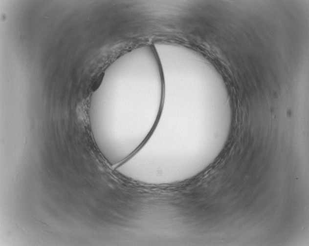 X0000085281445200704092154