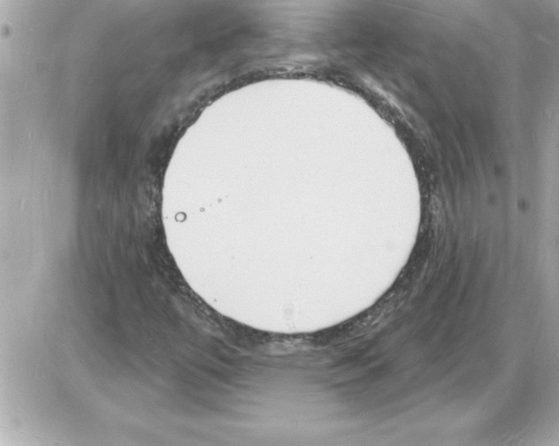 X0000085281447200704092154