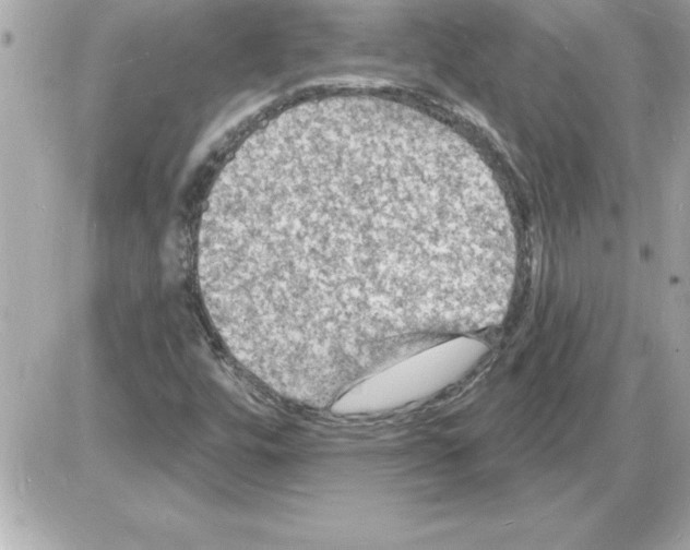 X0000085281448200704092154