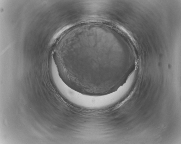 X0000085281453200704092154