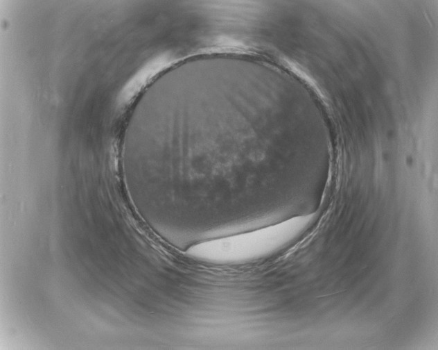 X0000085281455200704092154