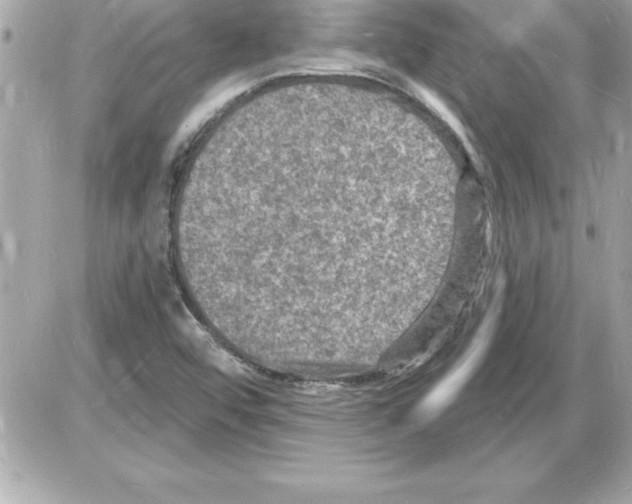 X0000085281456200704092154