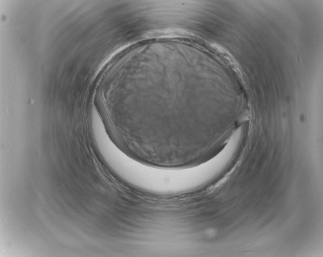 X0000085281457200704092154