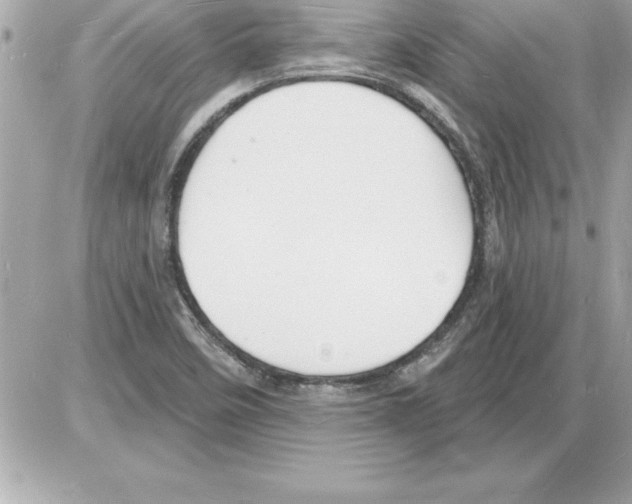 X0000085281458200704092154