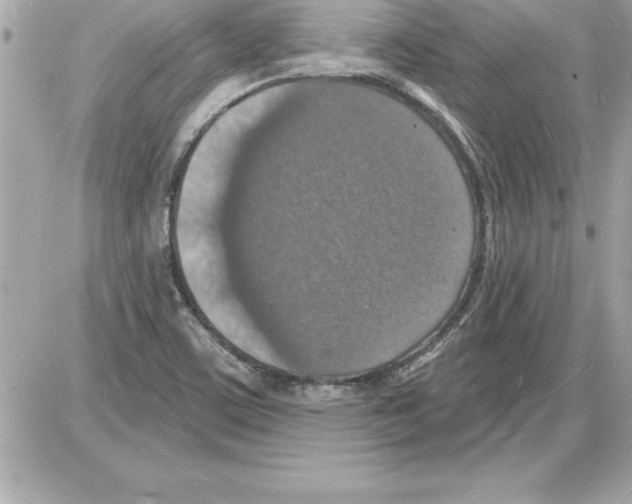 X0000085281459200704092154