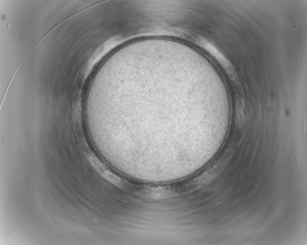 X0000085281460200704092154