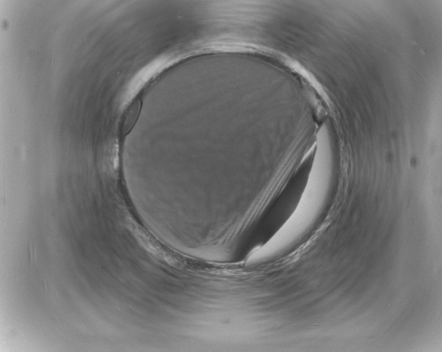 X0000085281461200704092154