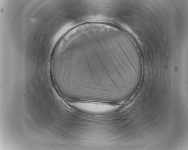 X0000085281463200704092154