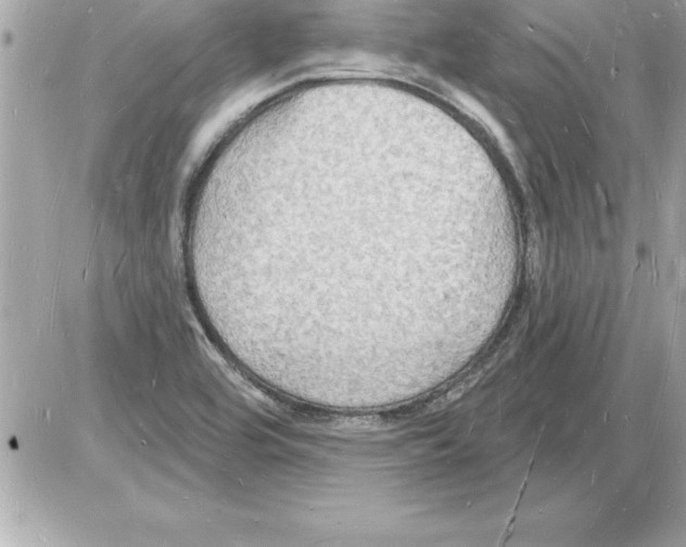 X0000085281464200704092153