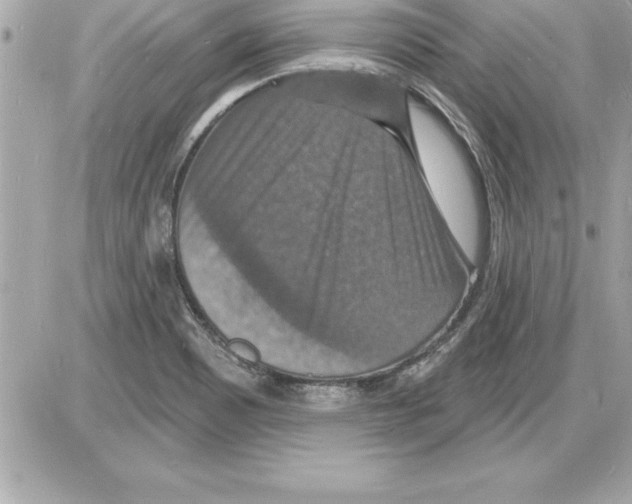 X0000085281465200704092153