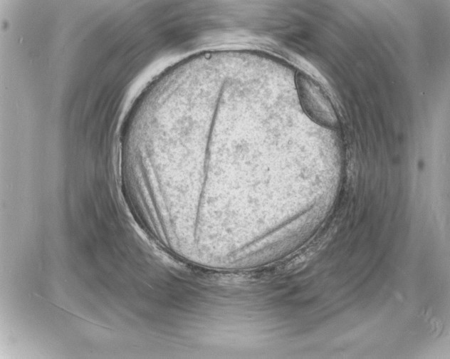 X0000085281472200704092153