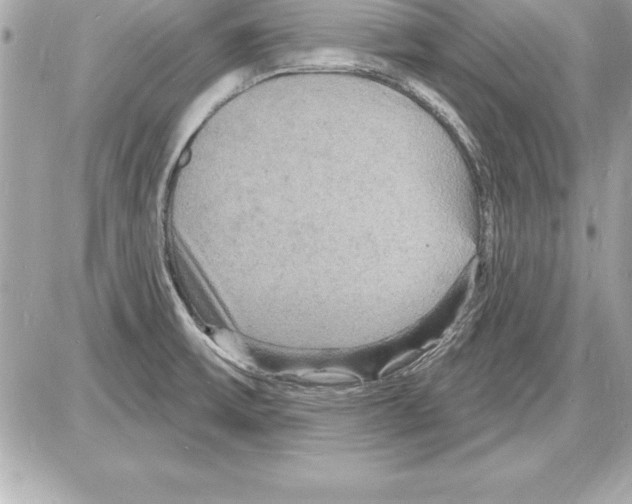 X0000085281475200704092153