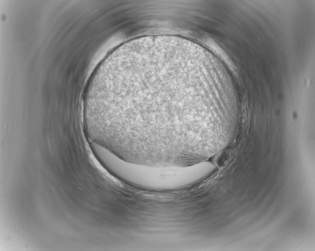 X0000085281476200704092153