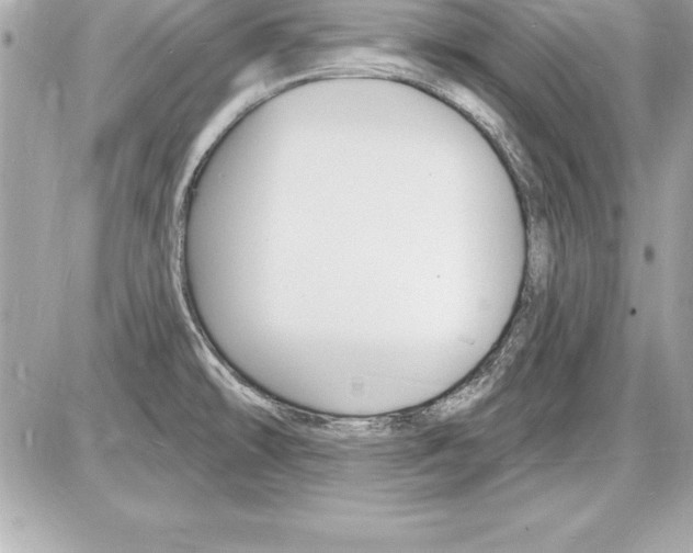 X0000085281478200704092153