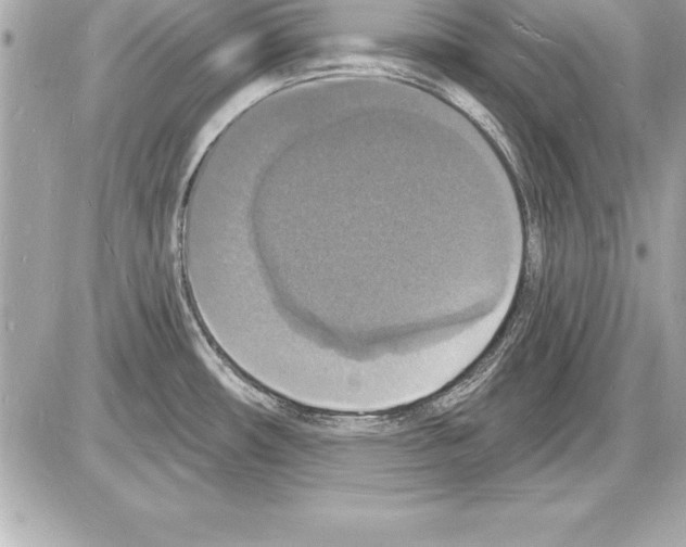 X0000085281482200704092153