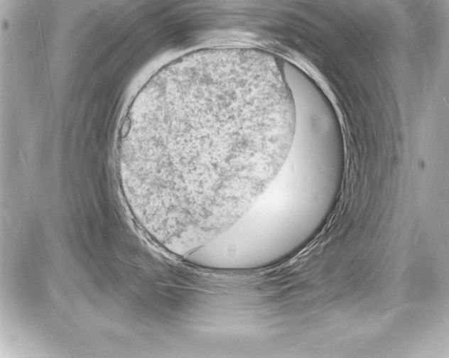 X0000085281488200704092153