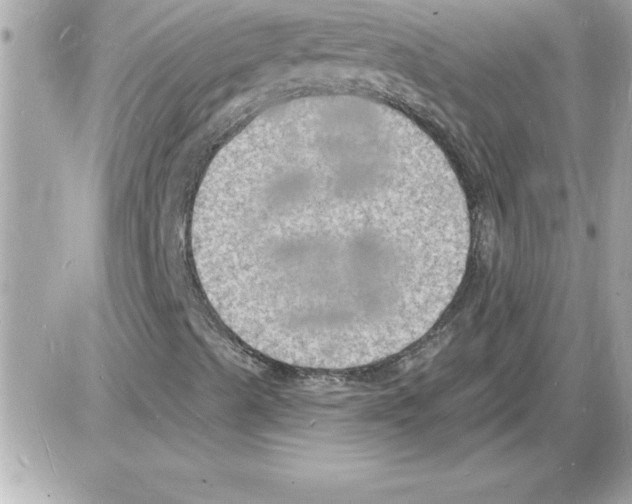 X0000085281489200704092152