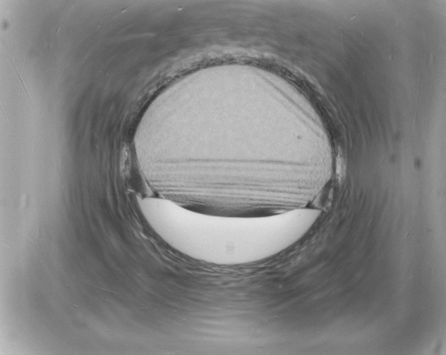 X0000085281492200704092152