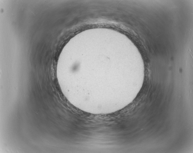 X0000085281493200704092152