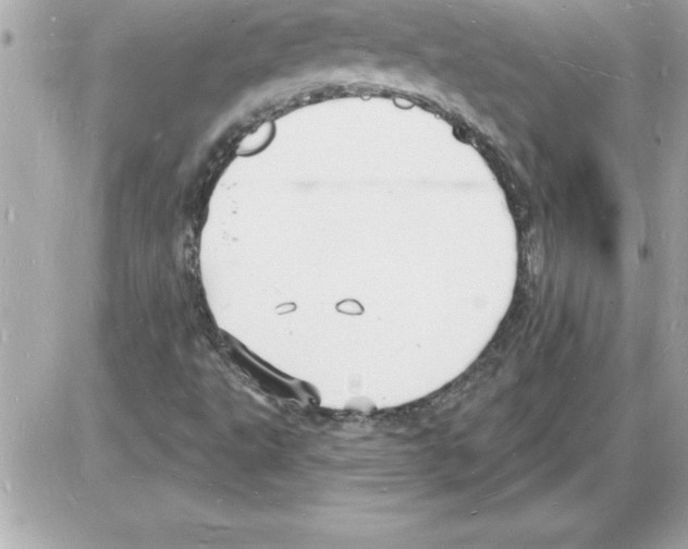 X0000085281495200704092152