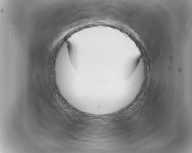 X0000085281496200704092152