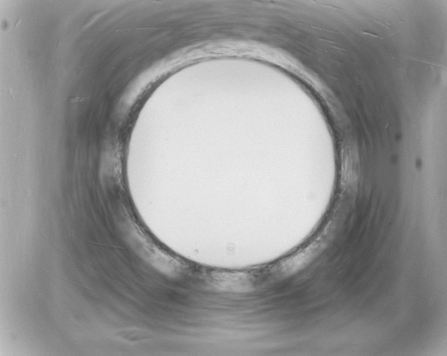 X0000085281498200704092152