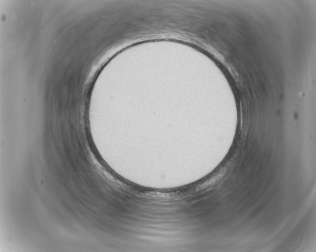 X0000085281500200704092152