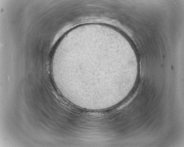 X0000085281501200704092153