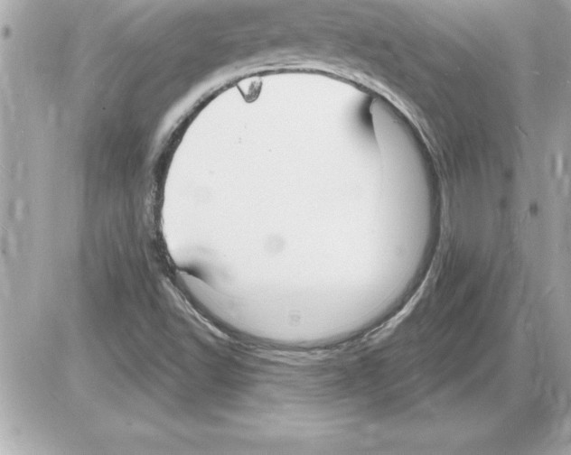 X0000085281502200704092153