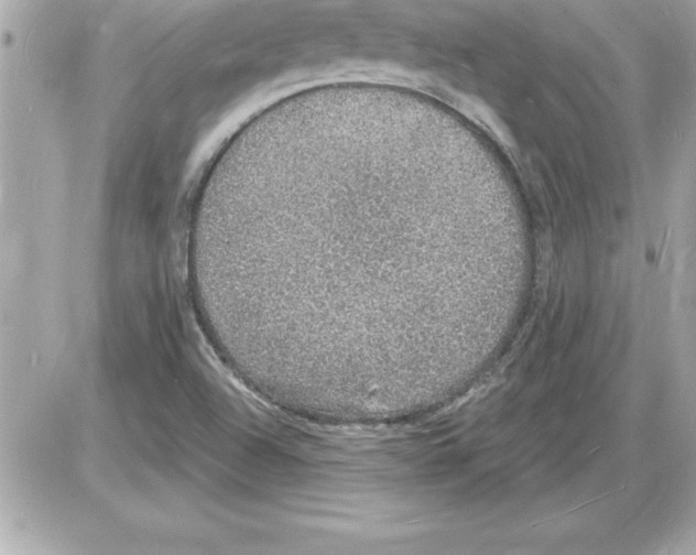 X0000085281504200704092153