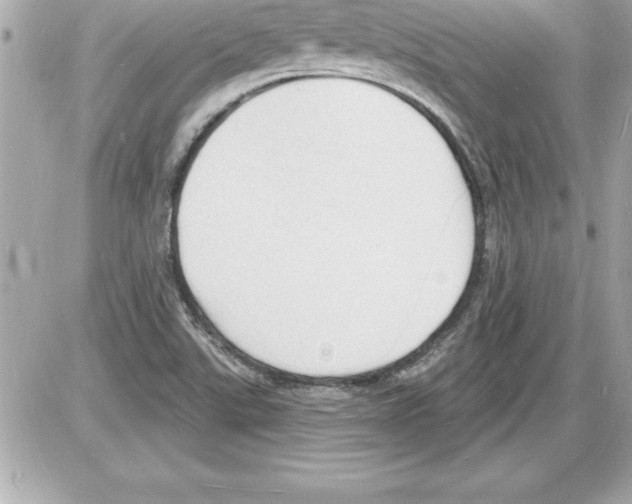 X0000085281507200704092153