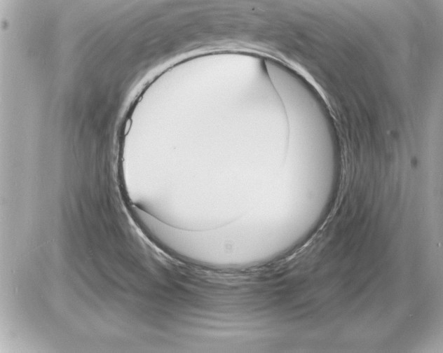 X0000085281508200704092153