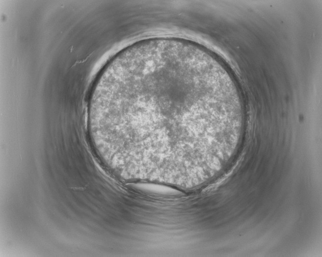 X0000085281509200704092153