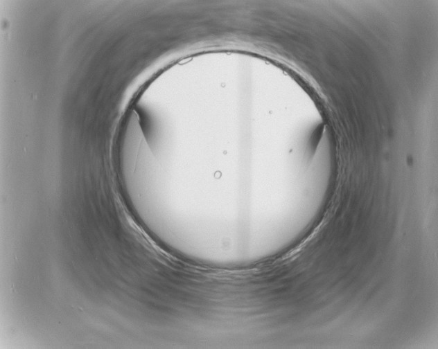 X0000085281510200704092153