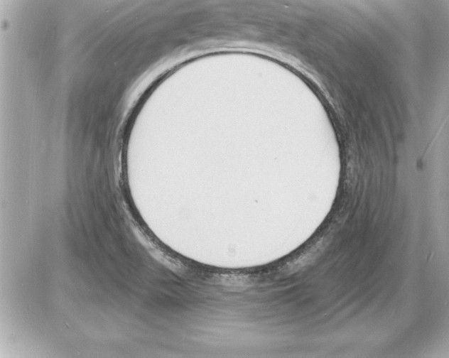 X0000085281511200704092153