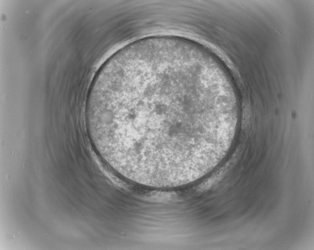 X0000085281513200704092153