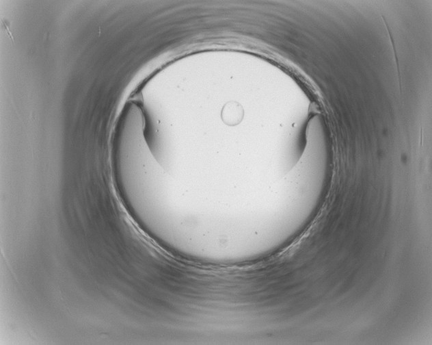 X0000085281514200704092153