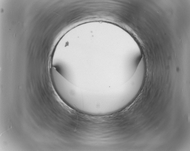 X0000085281516200704092153