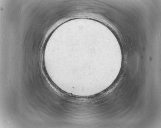 X0000085281517200704092153