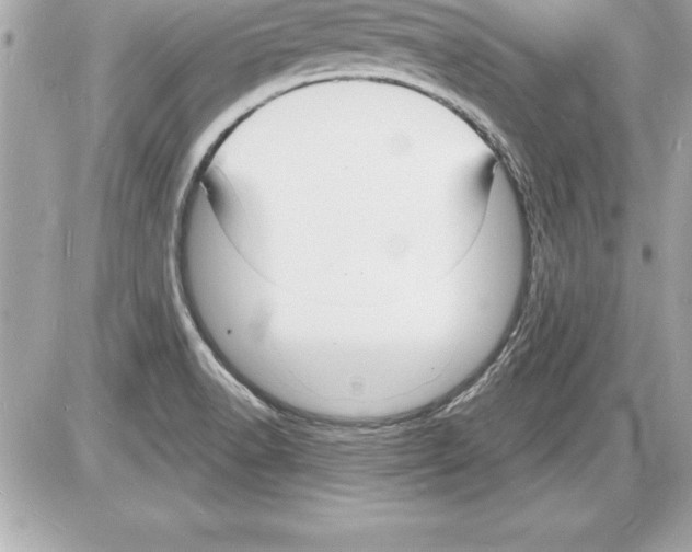 X0000085281518200704092153