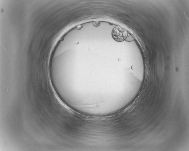 X0000085281519200704092153