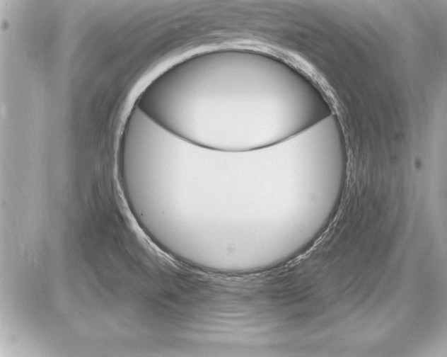 X0000085281520200704092153