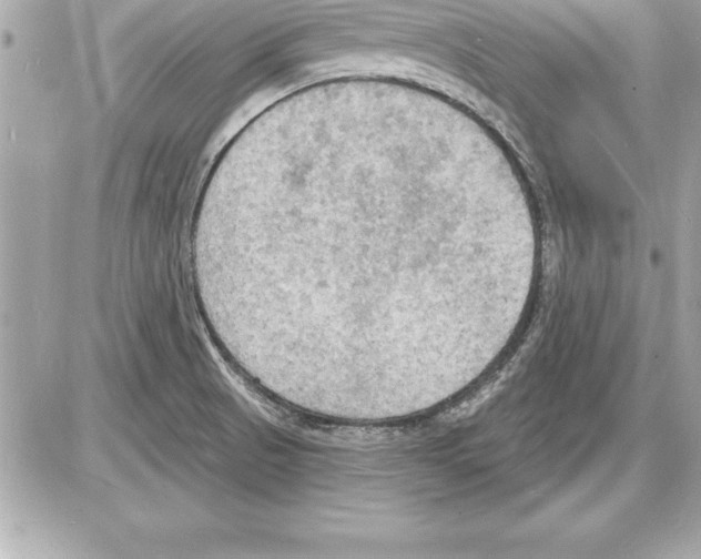 X0000085281521200704092153