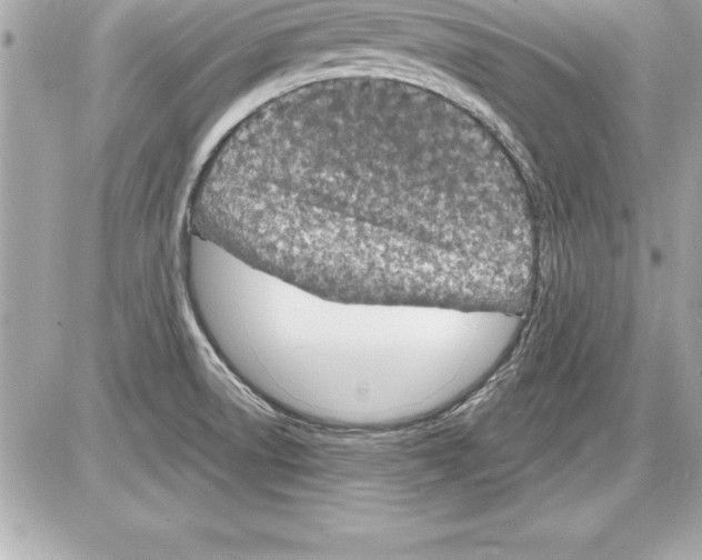 X0000085281522200704092153