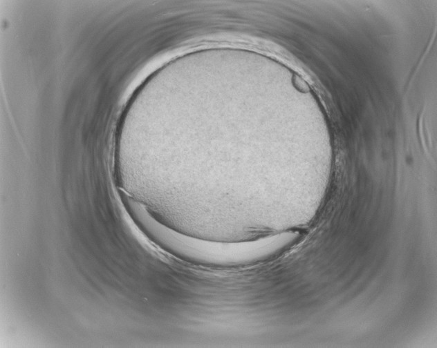 X0000085281523200704092153