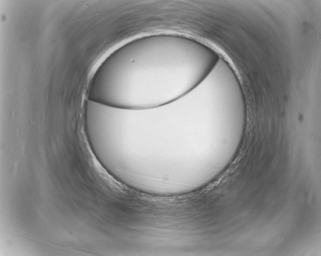 X0000085281524200704092153